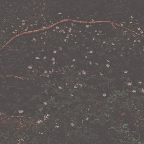 Sadness (USA) : Holding